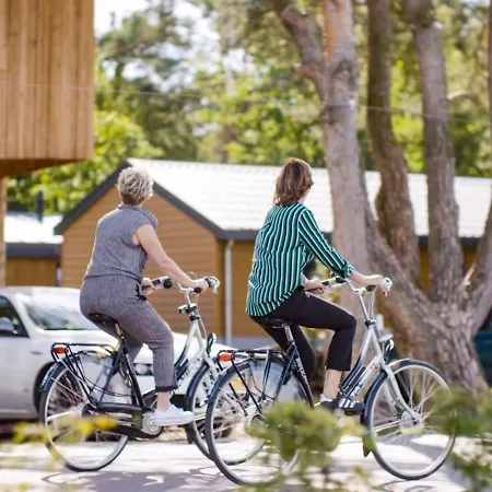 Holiday home Holiday Europarcs De Wije Werelt-5 *